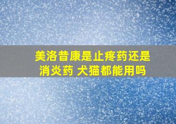 美洛昔康是止疼药还是消炎药 犬猫都能用吗